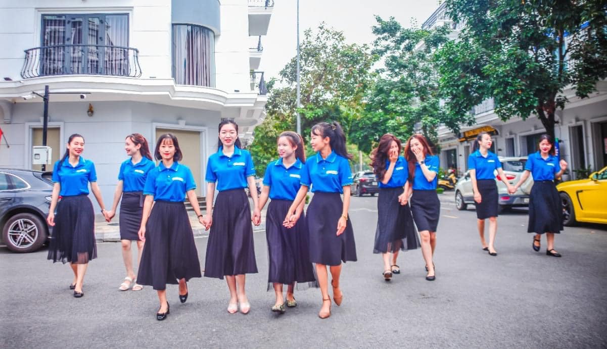 lĩnh vực hoạt động